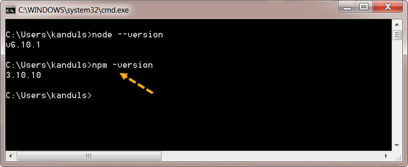 npm version